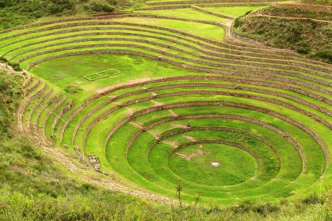 MARAS – MORAY